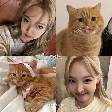 twice nayeon deepfake|나연 (NAYEON) (@nayeonyny) • Instagram photos and videos.